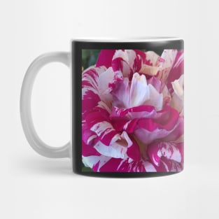 Red and White Candy Cane Rose Mug